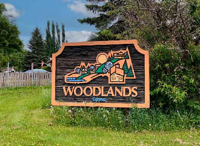 Woodlands Homes for Sale
