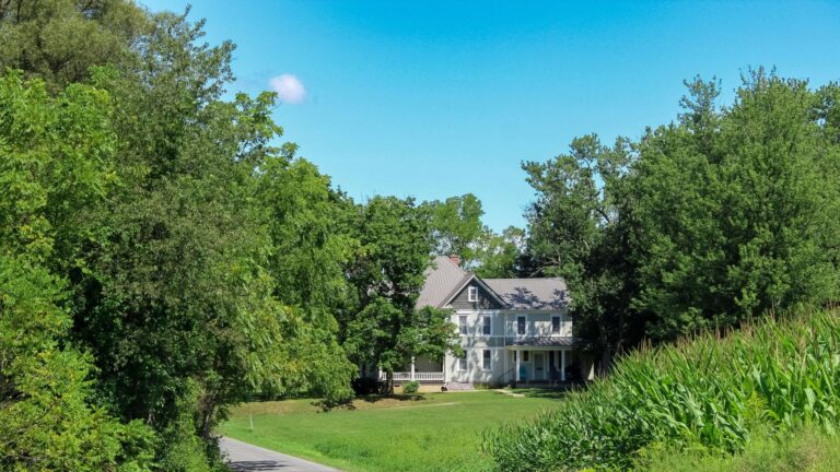 beautiful house garden