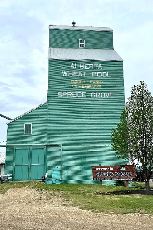 Spruce Grove Homes for Sale, Spruce Grove Community Guide