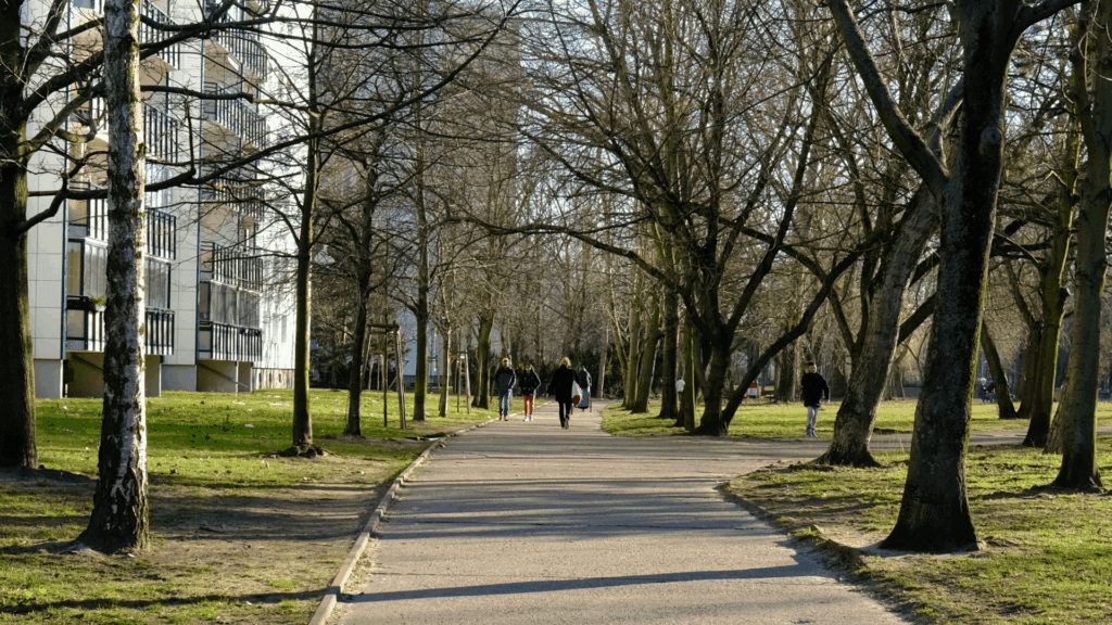 Most Walkable Neighbourhoods