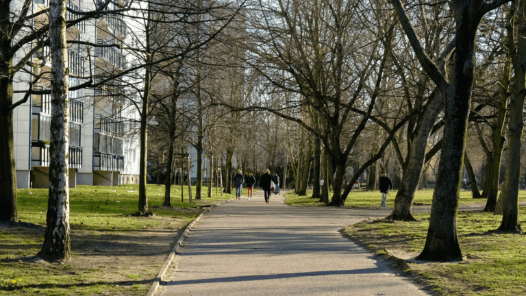 Most Walkable Neighbourhoods