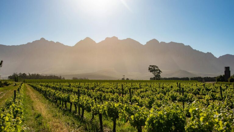 Strathcona County Acreages