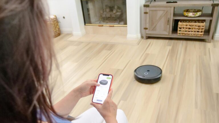 Difference Between Toys and Assets