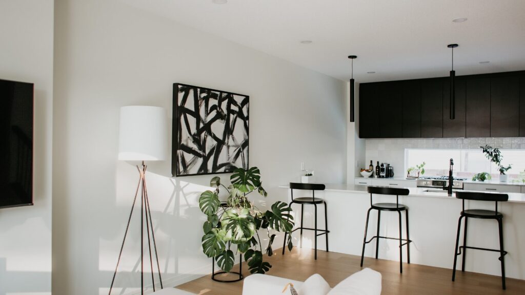 City of Edmonton Infill Debate