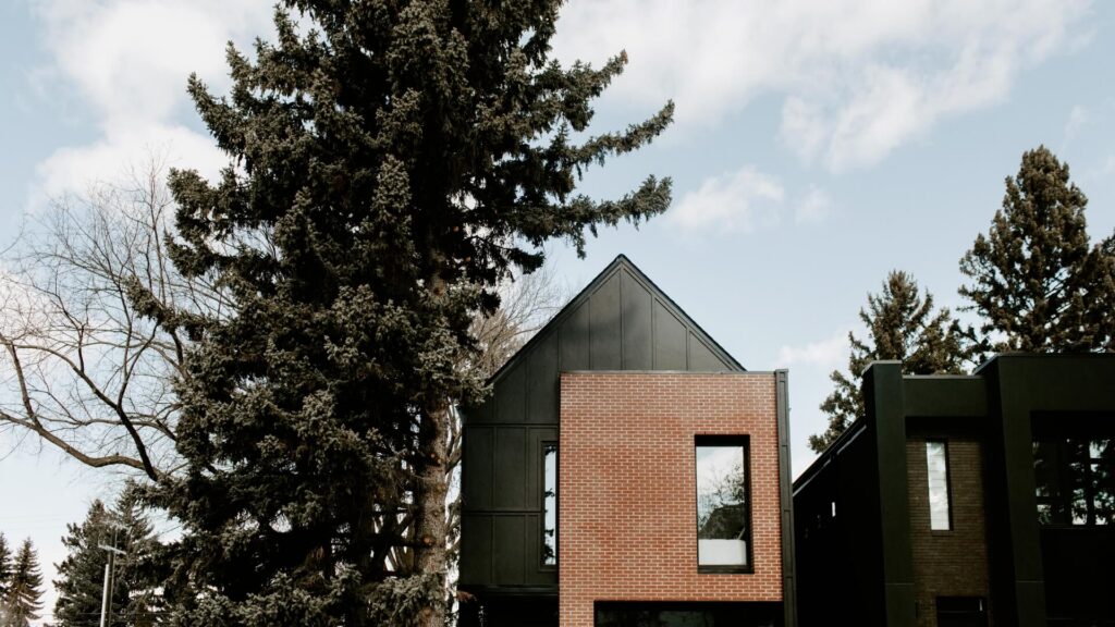 Edmonton River Valley Guide