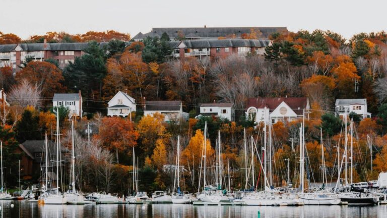 Halifax Backyard Suite