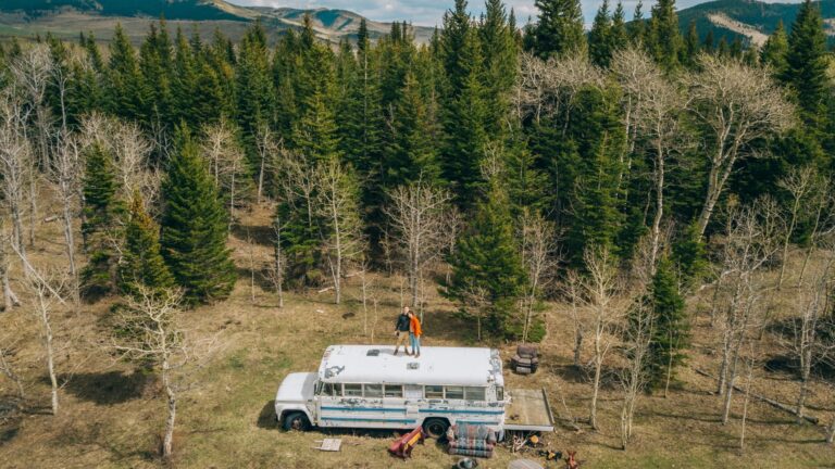 St. Albert Recreation 2026