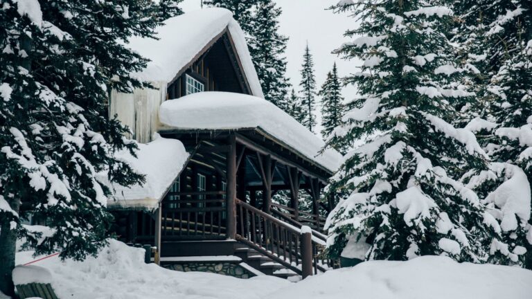 Winter in St. Albert 2026